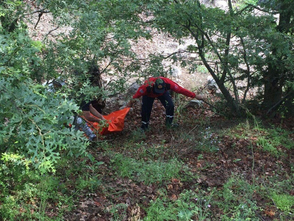 Balıkesir’de Traktör Kazası: 1 Ölü