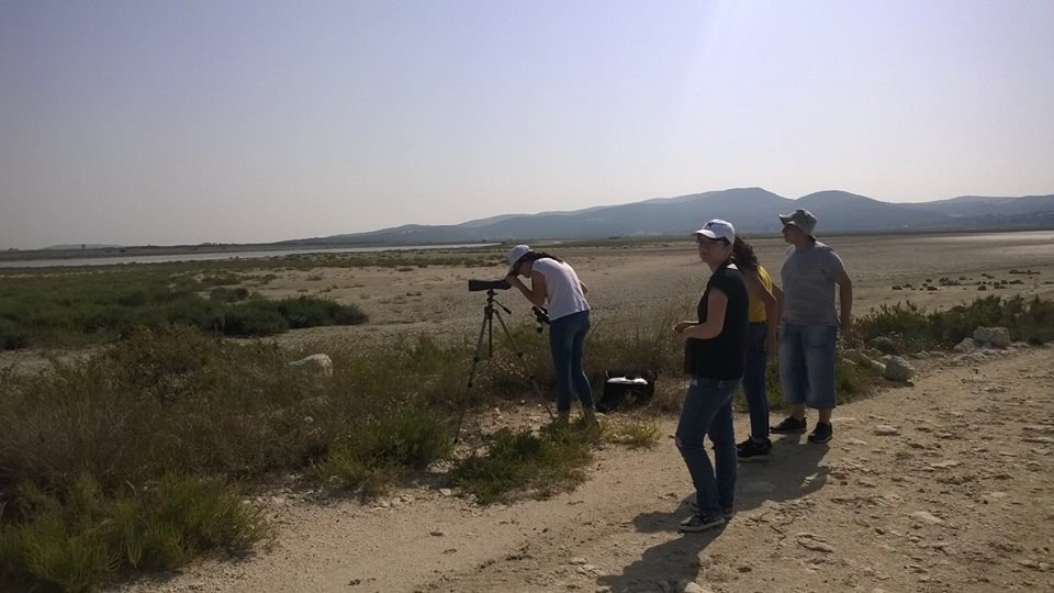 Didim’de Kuş Gözlemcileri Akköy’de İncelemede Bulundu