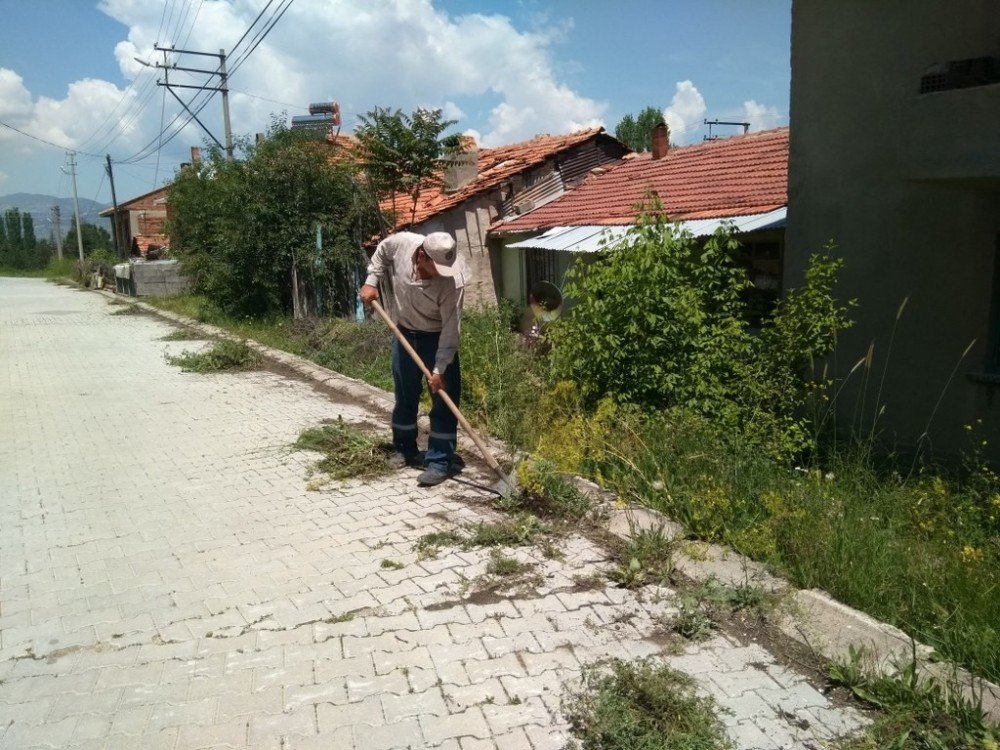 Hisarcık Belediyesinden Yabani Ot Temizliği