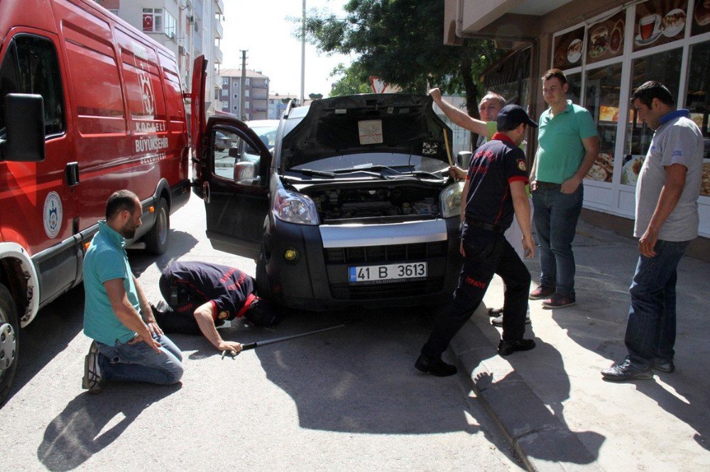 Motora Giren Kedi, Su Dökülerek Çıkartıldı