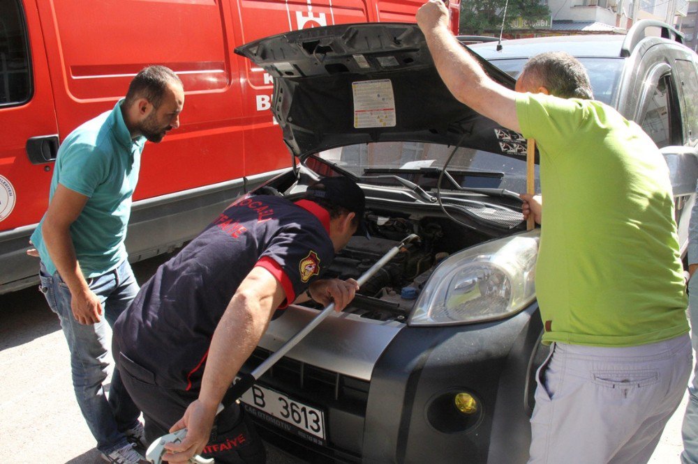 Motora Giren Kedi, Su Dökülerek Çıkartıldı