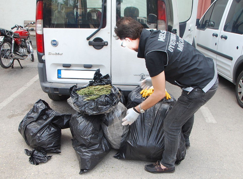 Mersin’de 74.5 Kilo Esrar Ele Geçirildi