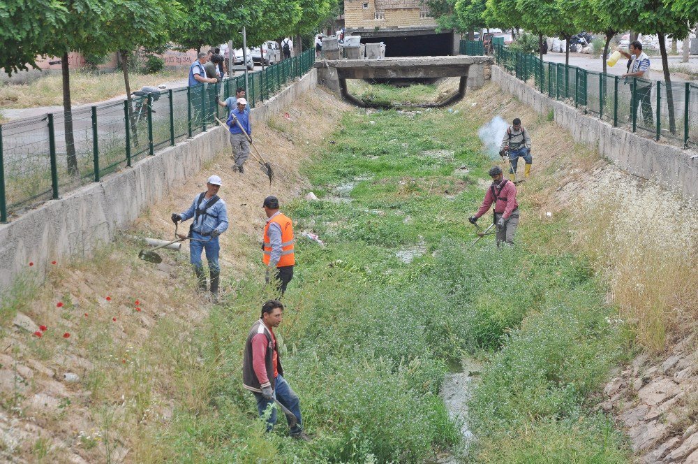 Gölbaşı İlçesinde Dere Yatakları Temizleniyor