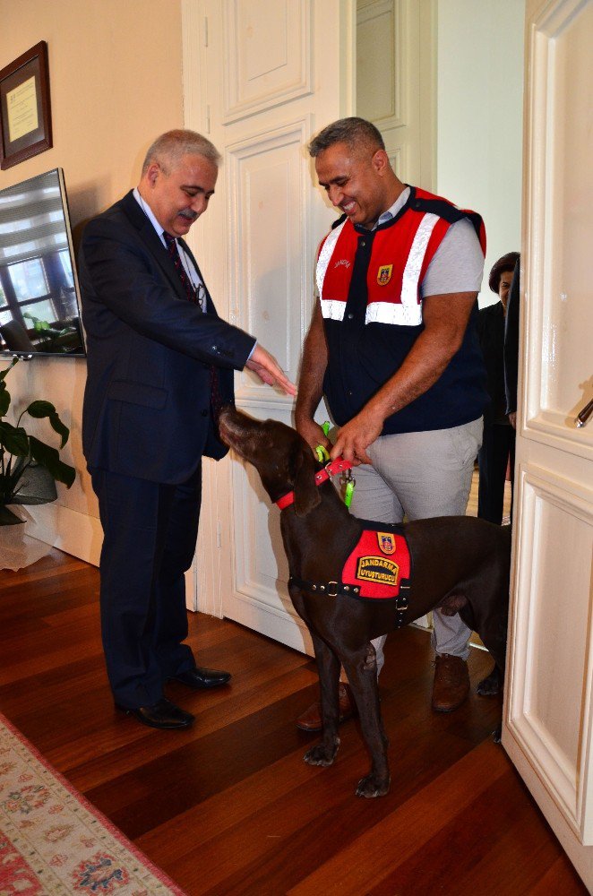 Jandarmanın Uyuşturucu Köpeği Valilik Makamında Ağırlandı