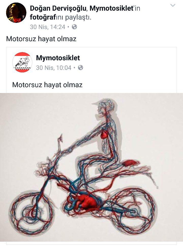 Motosikletliler İçin Değişmesi Gerektiğini Savunduğu Bariyerler Arasında Sıkışarak Can Verdi