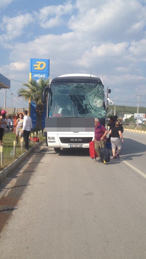 Milas’ta Yolcu Otobüsü Vinçle Çarpıştı