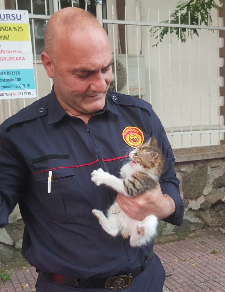 Ağaçta Mahsur Kalan Yavru Kediyi İtfaiye Kurtardı