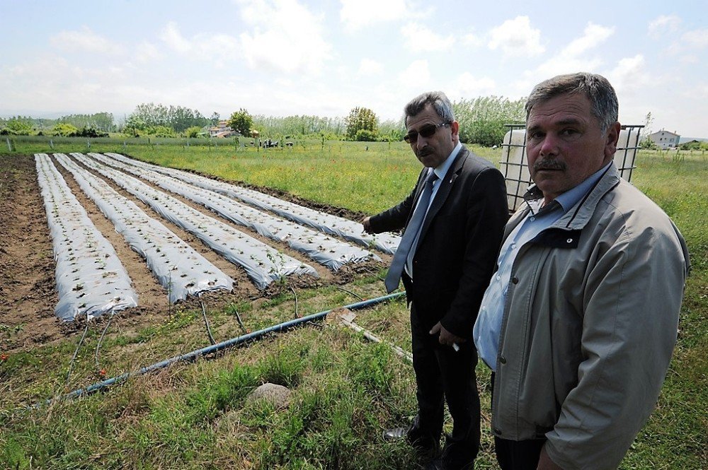 Destek Büyükşehirden Marka Çiftçiden