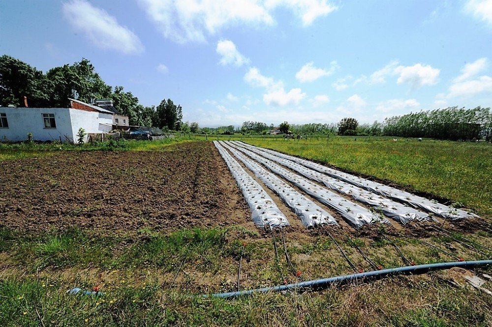 Destek Büyükşehirden Marka Çiftçiden