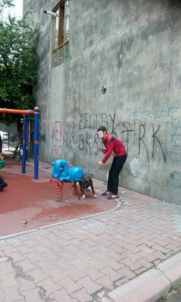 Köpeğin Saldırdığı Adam Kolundan Yaralandı