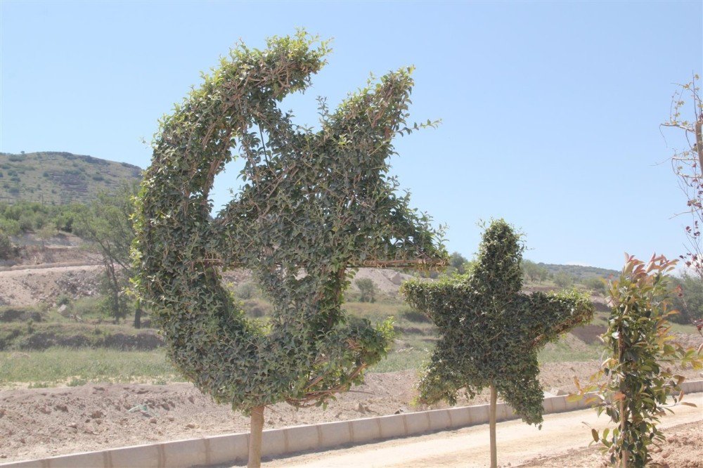 Nevşehir’e Botanik Park Yapılıyor