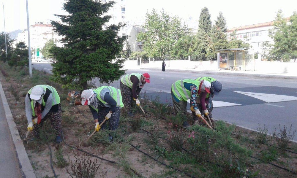 Seydişehir’de Park Ve Bahçelerdeki Çalışmalara Kadın Eli Deydi