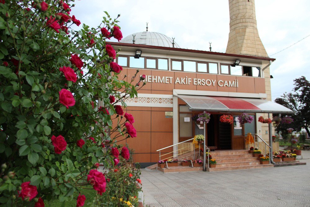 Botanik Bahçesi Gibi Cami