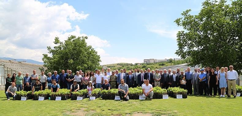 Tokat’ta 12 Bin Adet Tüplü Asma Fidanı Dağıtıldı