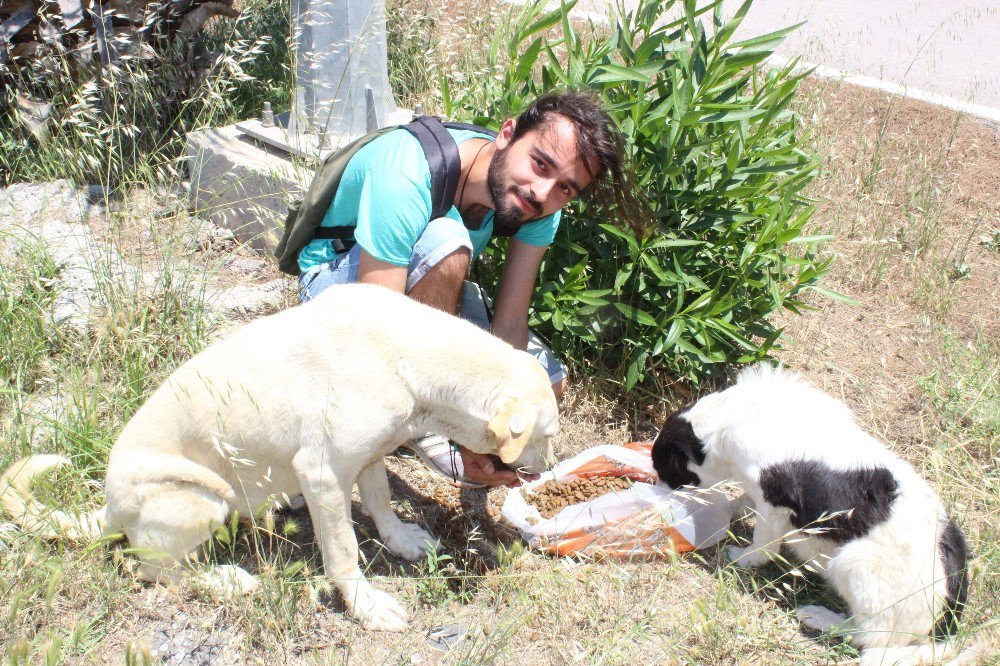 Köpek Besleyen Gençlere Saldırı Anı Kamerada