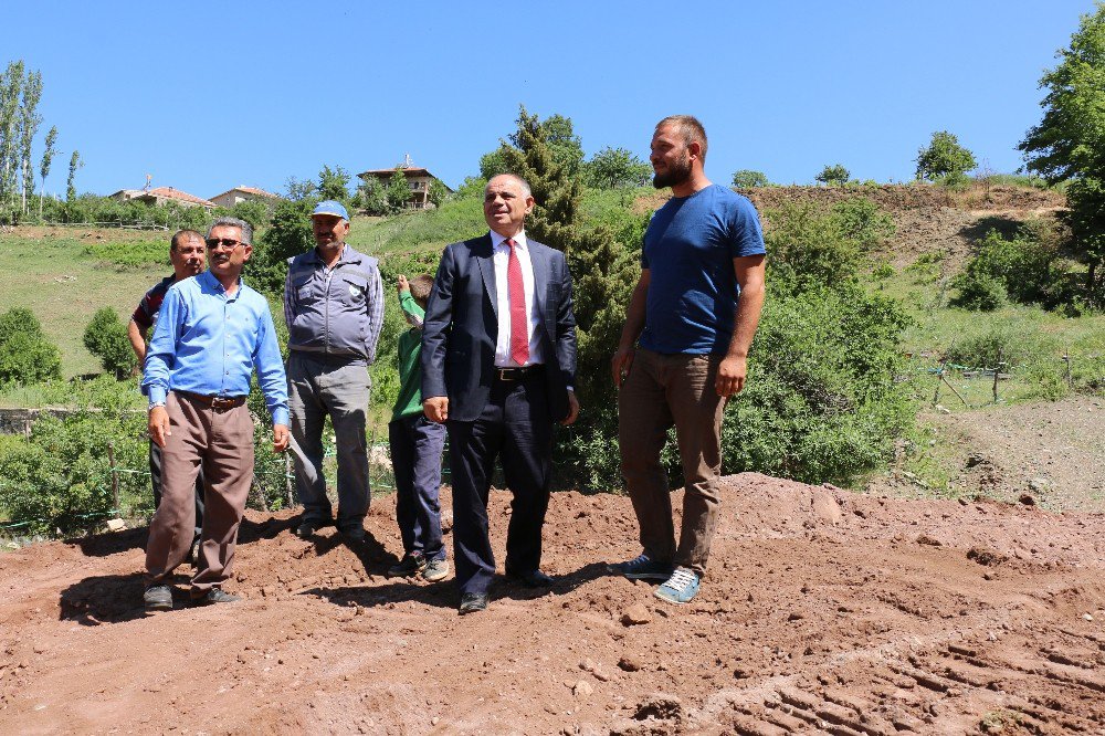 Delialiuşağı Mahallesi’nde Çalışmalar Başladı