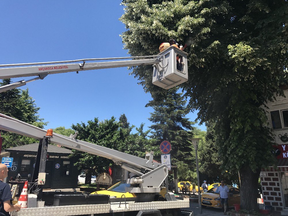 Akçakoca Belediyesi Haşarat İle Mücadelesini Sürdürüyor