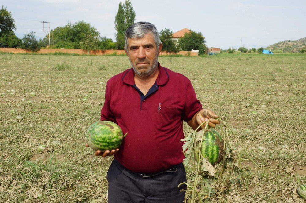 Sel Altında Kalan Bölgelerde Hummalı Çalışma