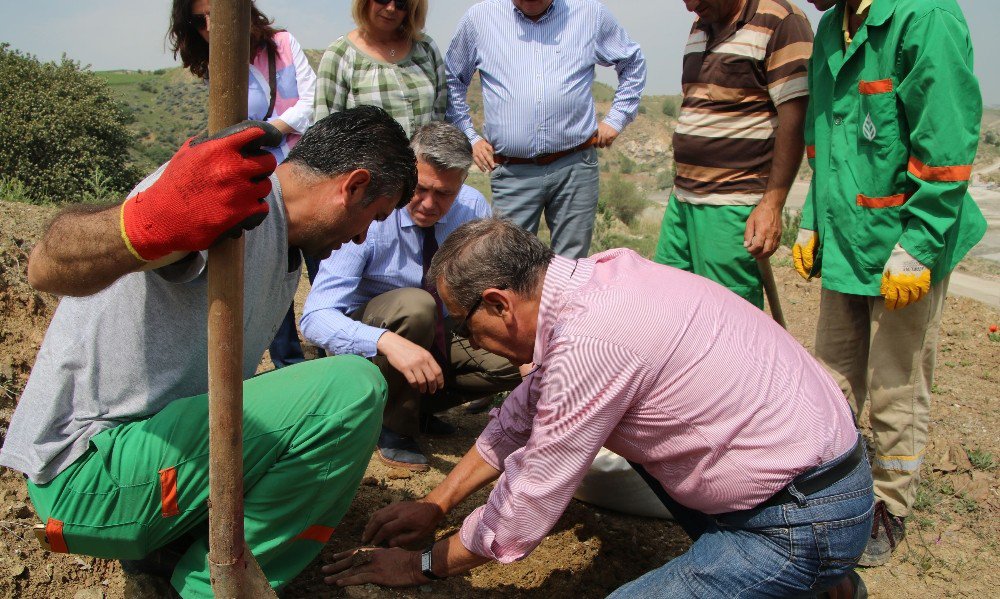 Çankaya’da "Enerji Ormanı" İçin İlk Tohumlar Atıldı