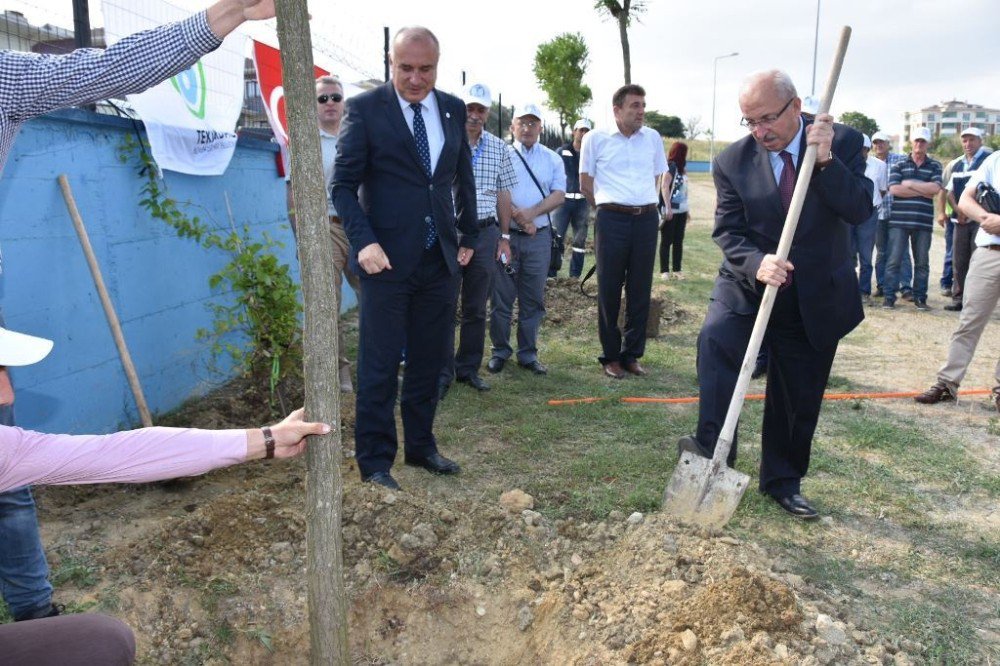 Tekirdağ’da Ağaçlandırma Etkinliği