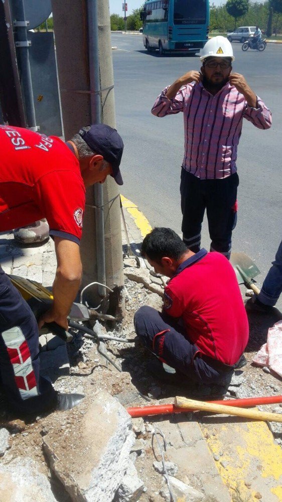 Beton Elektrik Direğinde Mahsur Kalan Yavru Kedi Kurtarıldı