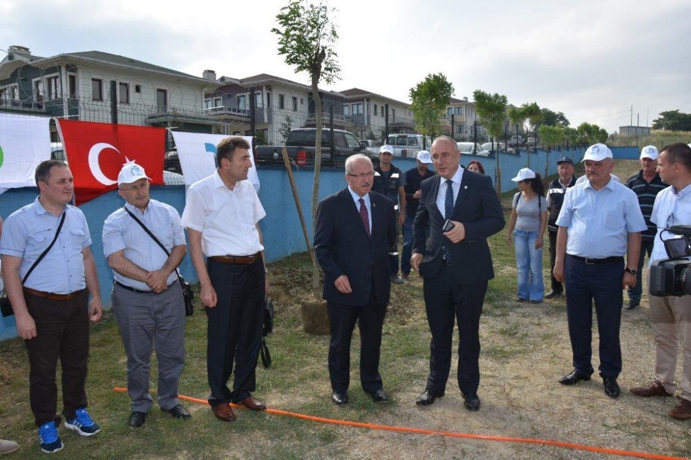 Tekirdağ’da Ağaçlandırma Etkinliği