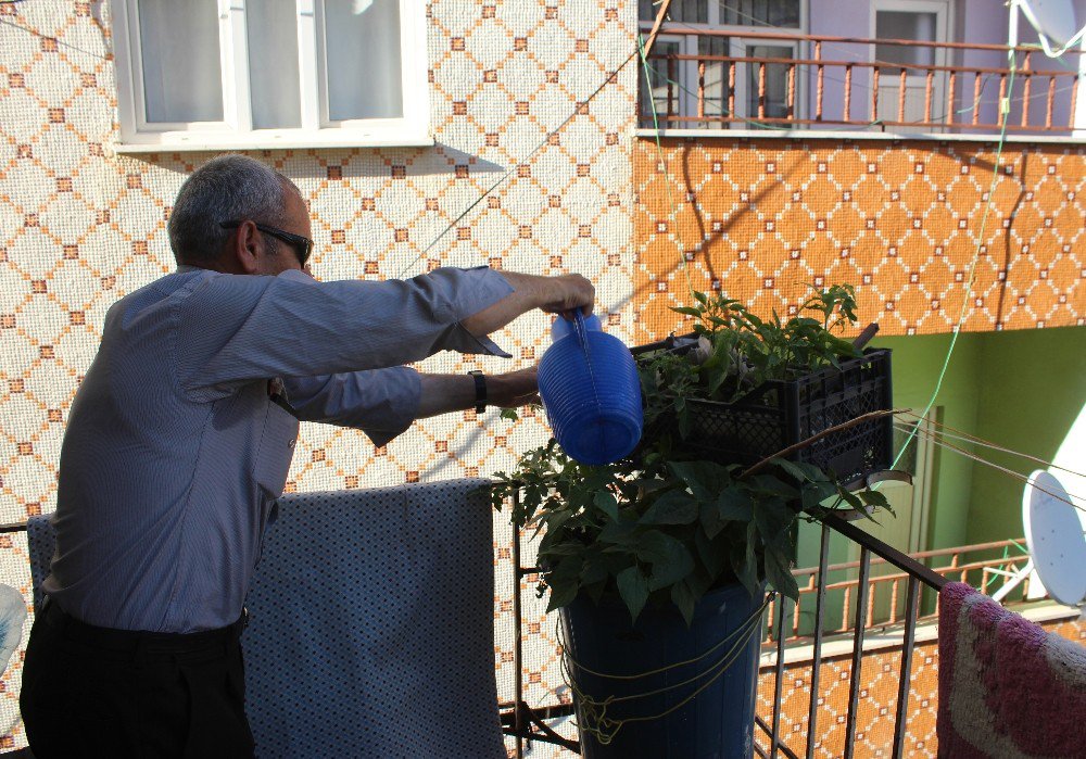 Gazi Babanın, Babalık Mücadelesi