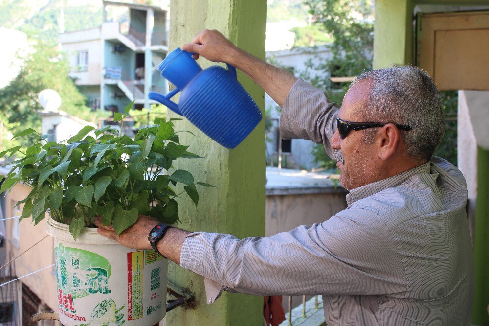 Gazi Babanın, Babalık Mücadelesi