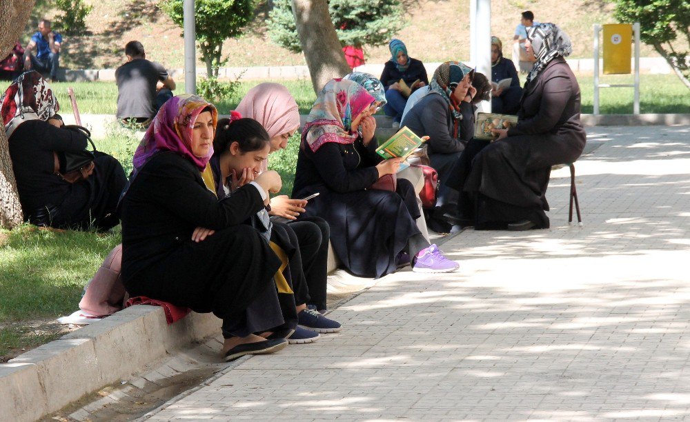 Elazığ’da Lys Maratonu