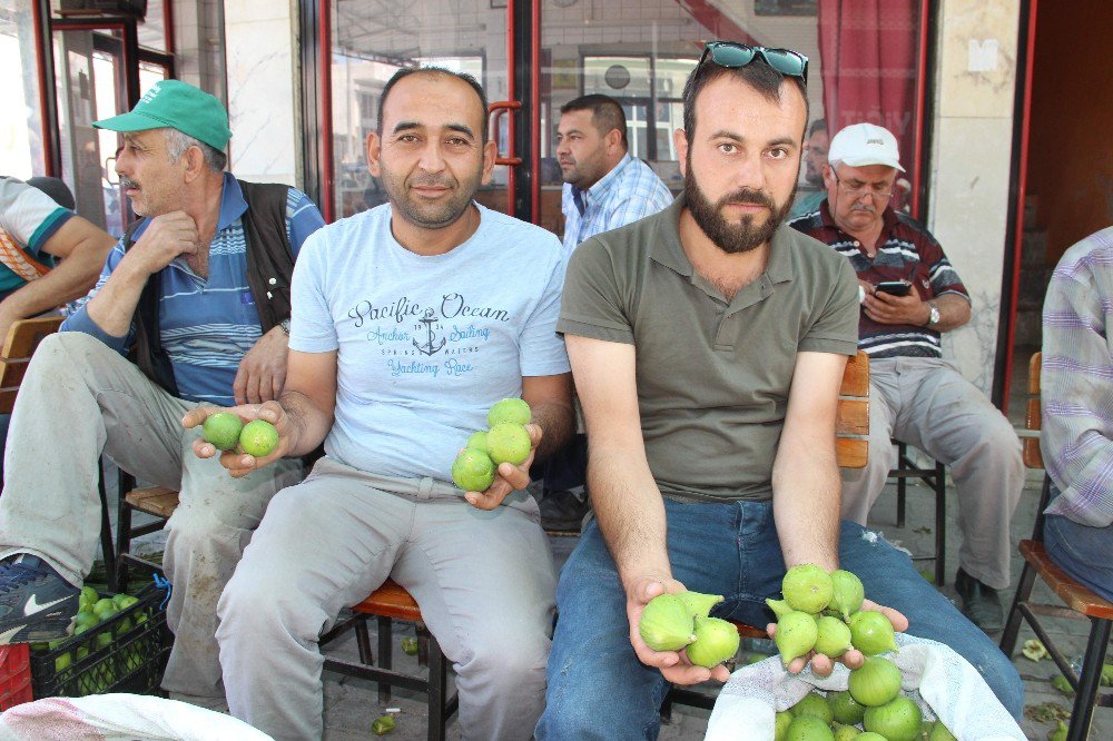 Germencik İlek Pazarı Hareketli Günler Yaşıyor