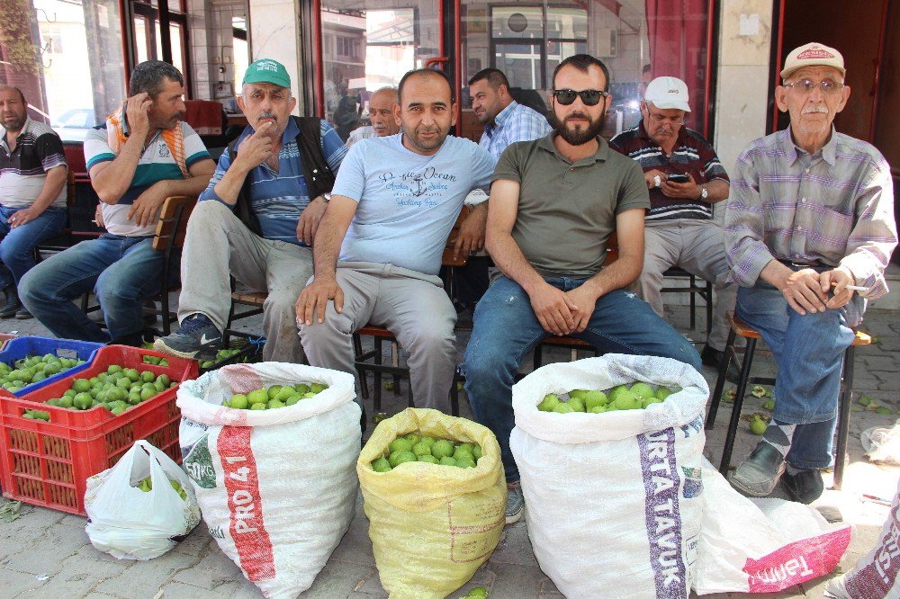 Germencik İlek Pazarı Hareketli Günler Yaşıyor