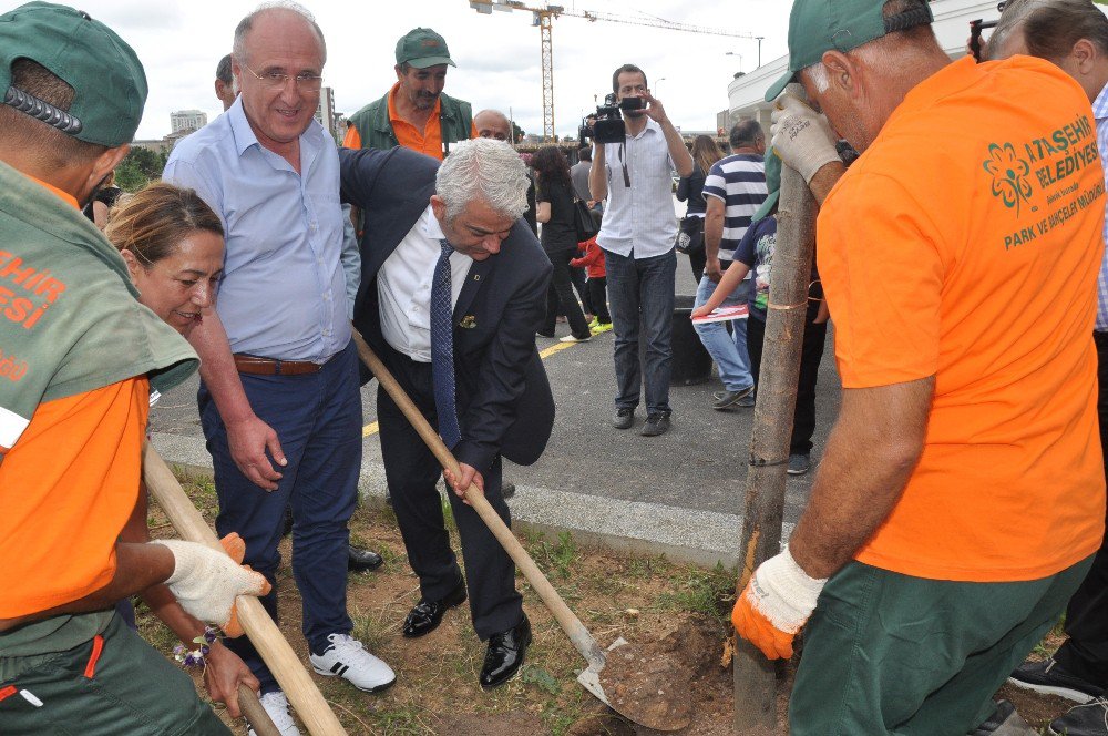 Ihlamur Festivali’nde Dostluk Ve Barış Ihlamuru Kaynatıldı