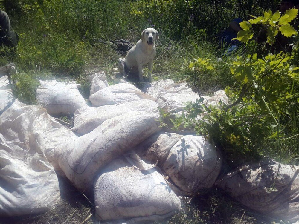 Bitlis’te 2 Ton Amonyum Nitrat İmha Edildi