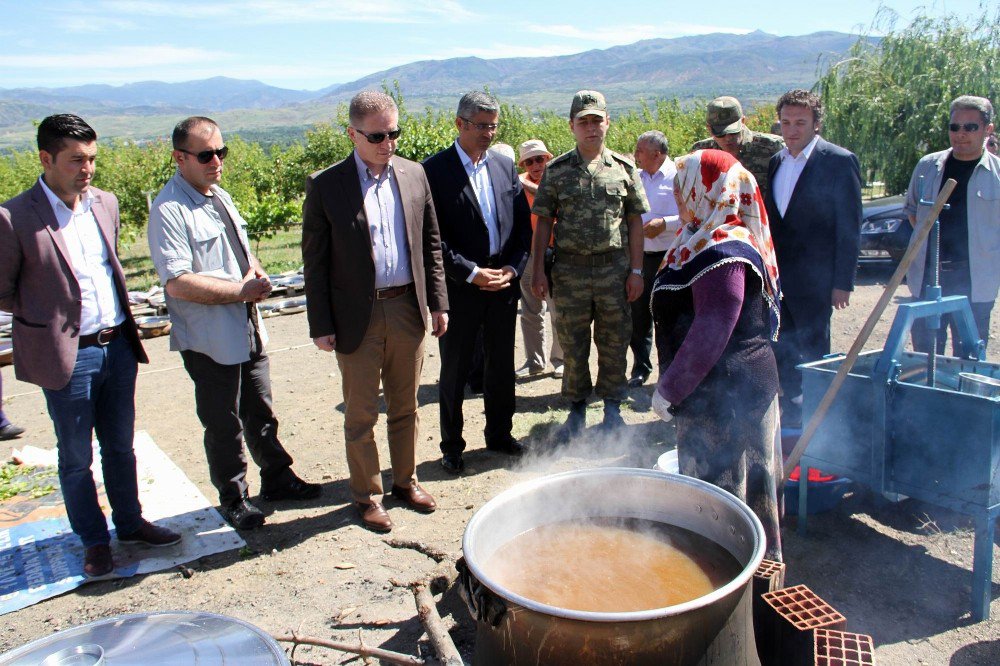 Sivas Valisi Gül, Suşehri’nde İncelemelerde Bulundu