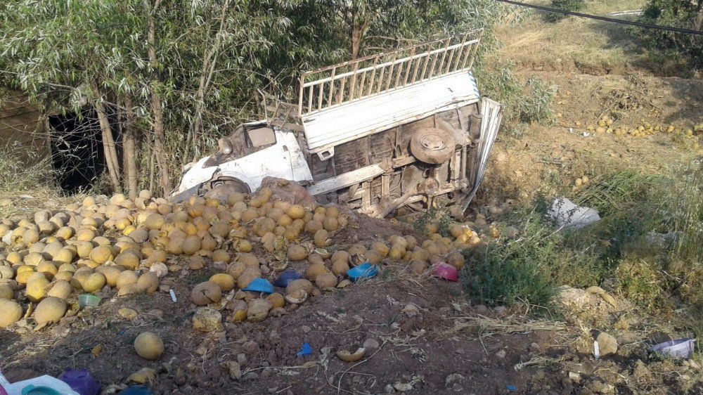 Kavun Yüklü Kamyonet Tarlaya Uçtu:1 Yaralı