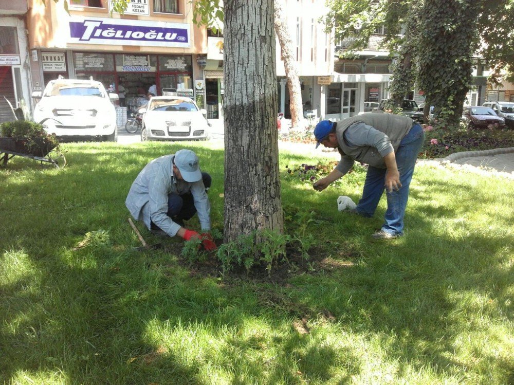 Alaşehir Parkları Güzelleşiyor