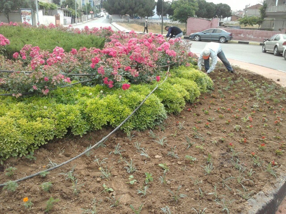 Alaşehir Parkları Güzelleşiyor