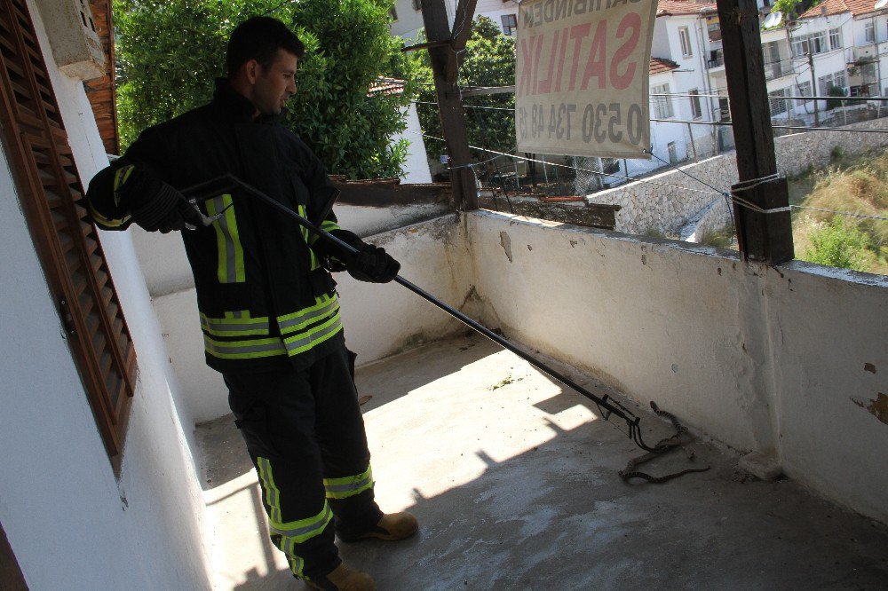 Evin Balkonuna Giren Yılanı İtfaiye Çıkarttı