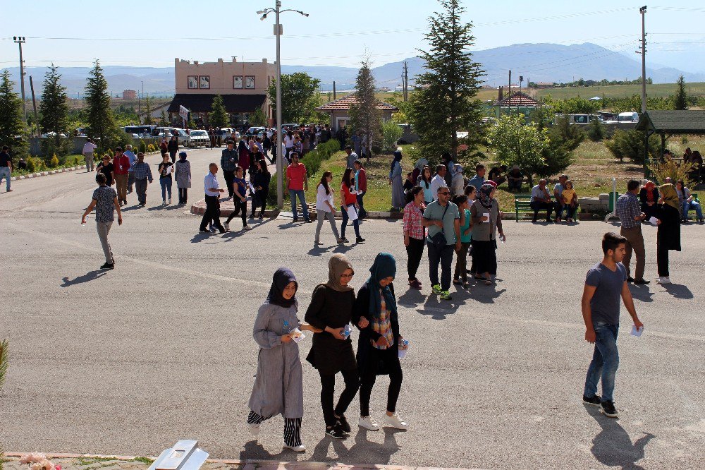 Ereğli’de Lys Bu Yıl İlk Defa Neü Koordinatörlüğünde Gerçekleştirildi