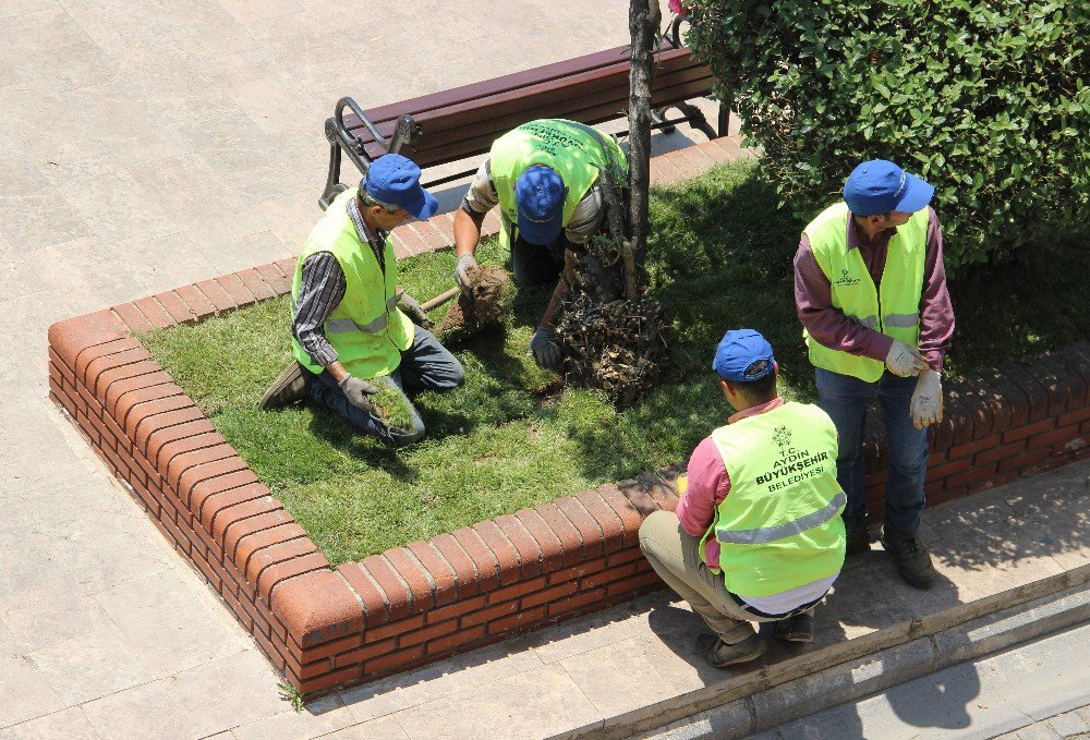 Aydın Büyükşehir Belediyesi Yeşillendirme Çalışmalarına Devam Ediyor