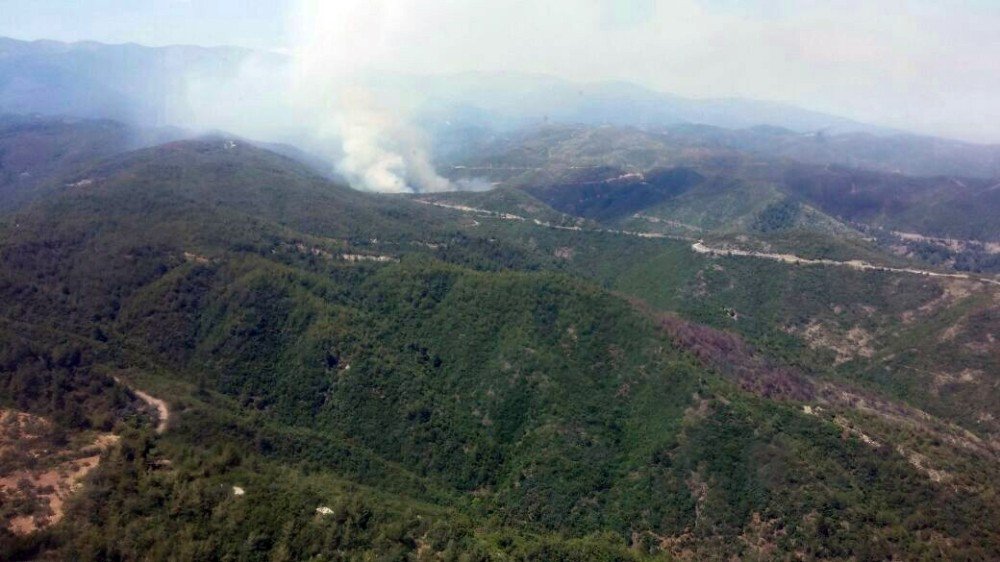 Hatay’da Orman Yangını