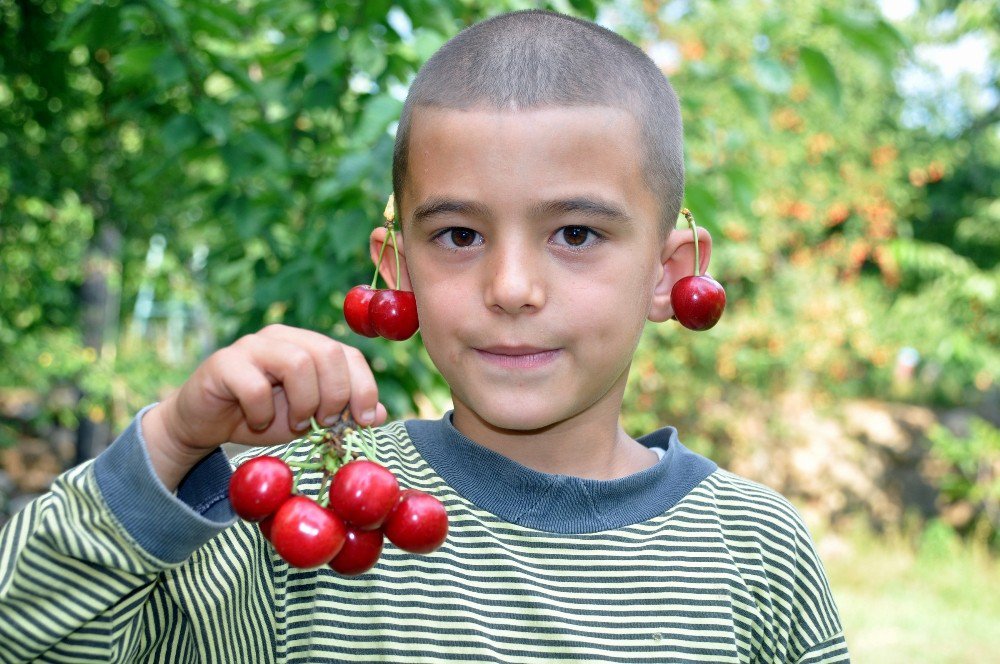 Kiraz Borsası Türkiye’de Bu Köyde Kuruluyor