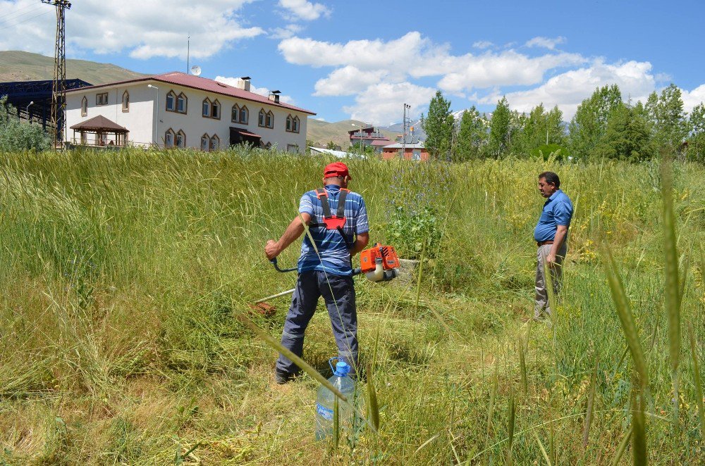 Adilcevaz’da Mezarlıklarda Ot Biçme Çalışması