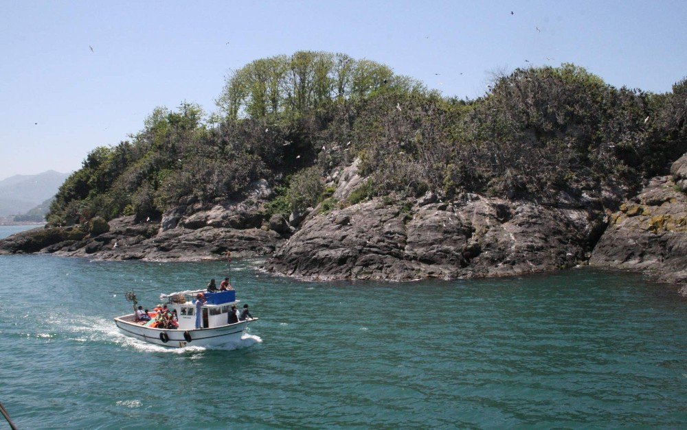 Bu Yılın İlk 5 Aylık Döneminde Doğu Karadeniz Bölgesi’ni 530 Binin Üzerinde Turist Ziyaret Etti