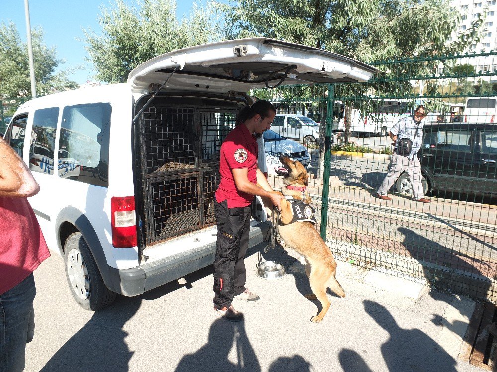 Bayram Tatili Öncesi Tatil Beldelerinde Olağanüstü Güvenlik Tedbiri