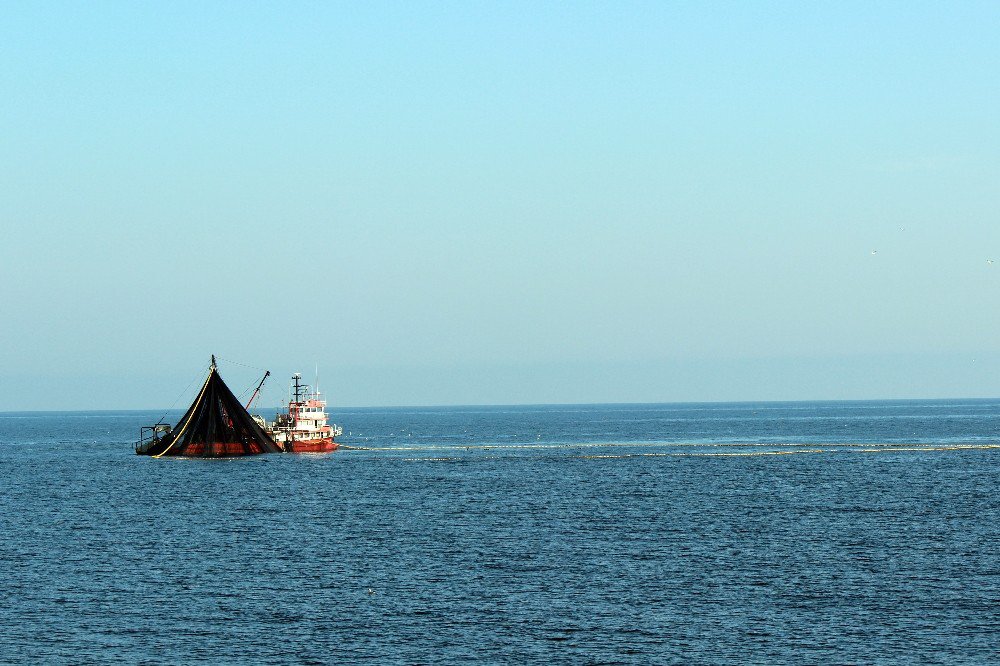 Ordu’da Balık Avı Azaldı