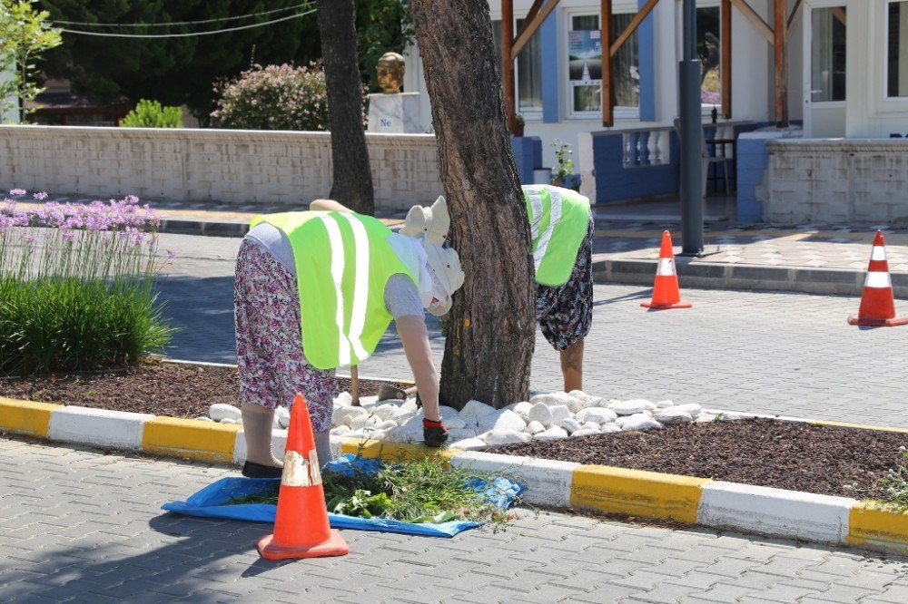 Burhaniye’de Refüjlere Belediye Makyajı