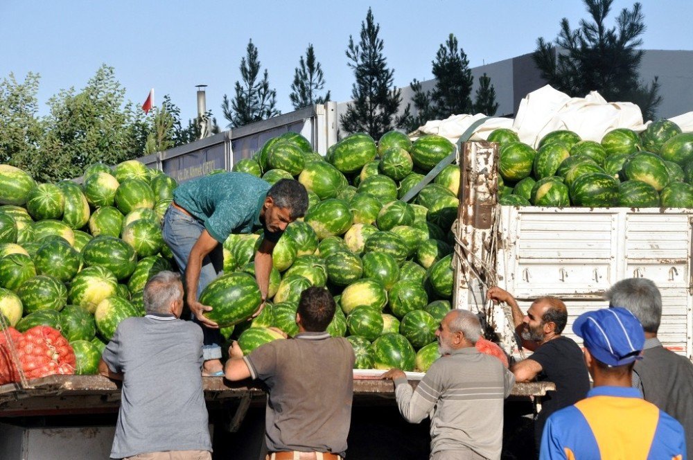 Sıcaklar Artınca Karpuz Satışları Da Arttı