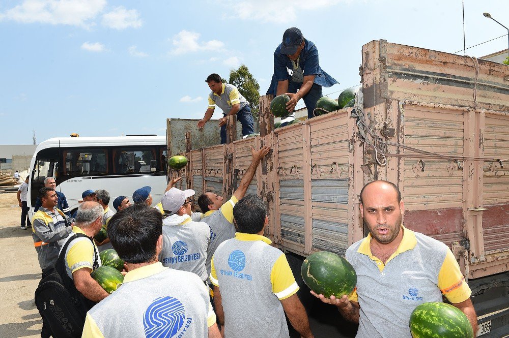 Seyhan Belediyesi 50 Ton Karpuz Dağıttı