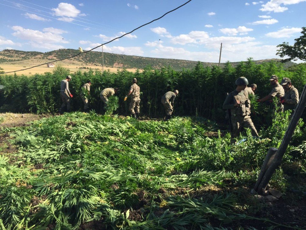 Diyarbakır’daki 104 Köyde Operasyon Tamamlandı